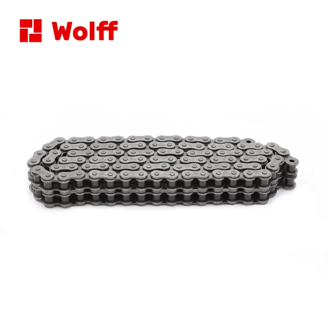 Double Strand Heavy Chains